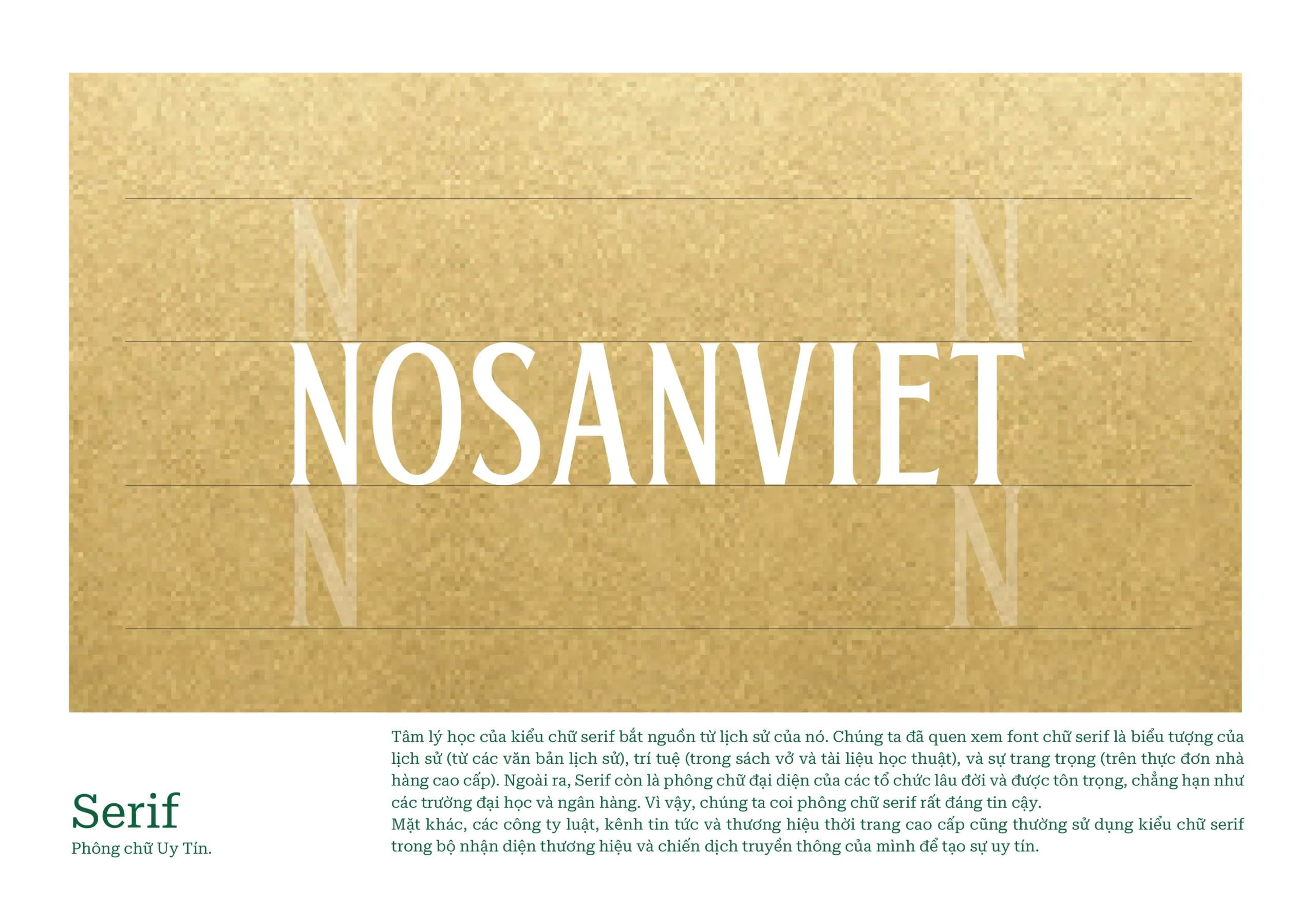 NOSANVIET__-_LOGO_IDEA__2_.webp