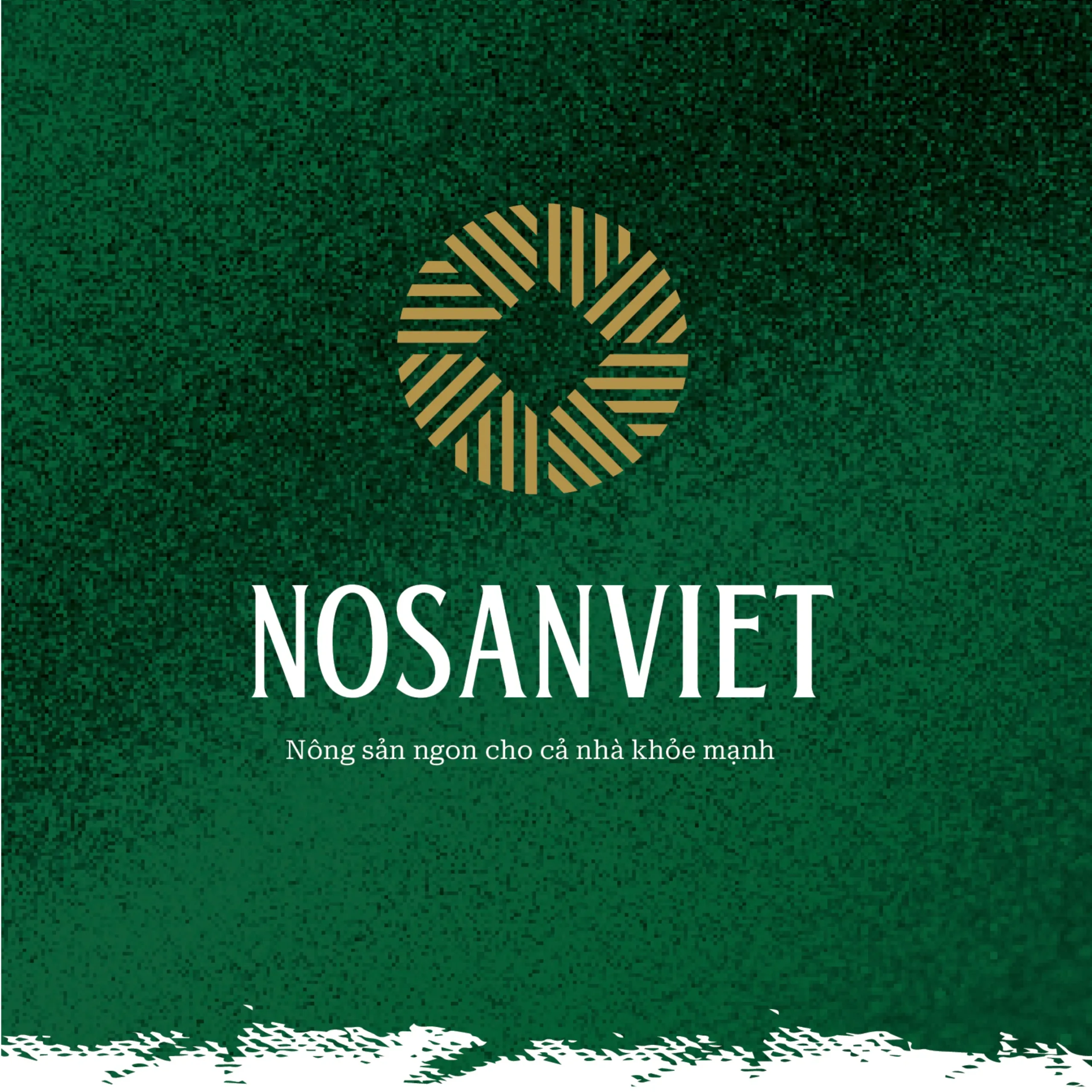 logo_nosanviet_b_i___ng_.webp
